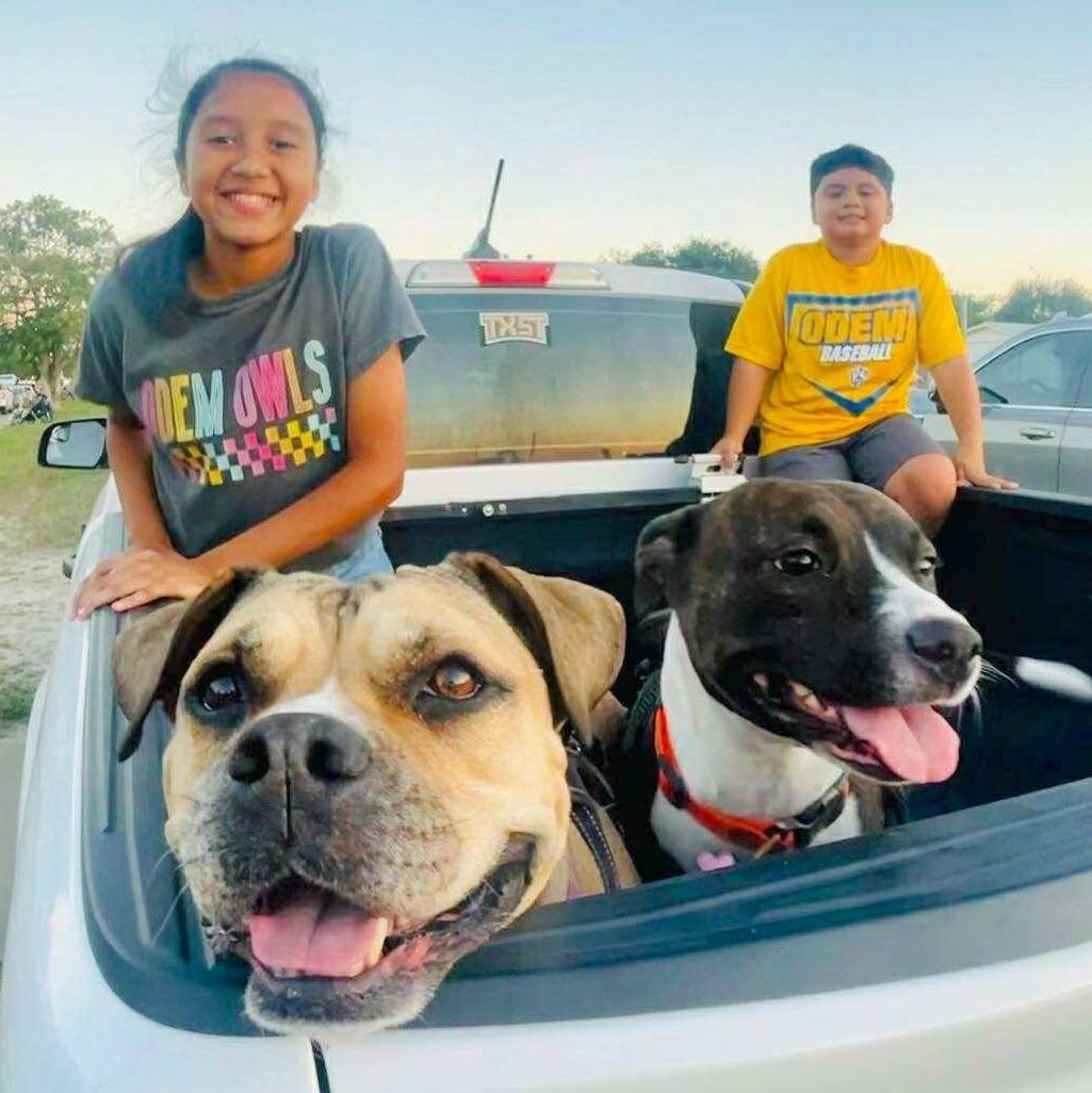 Florentina thumbnail 4