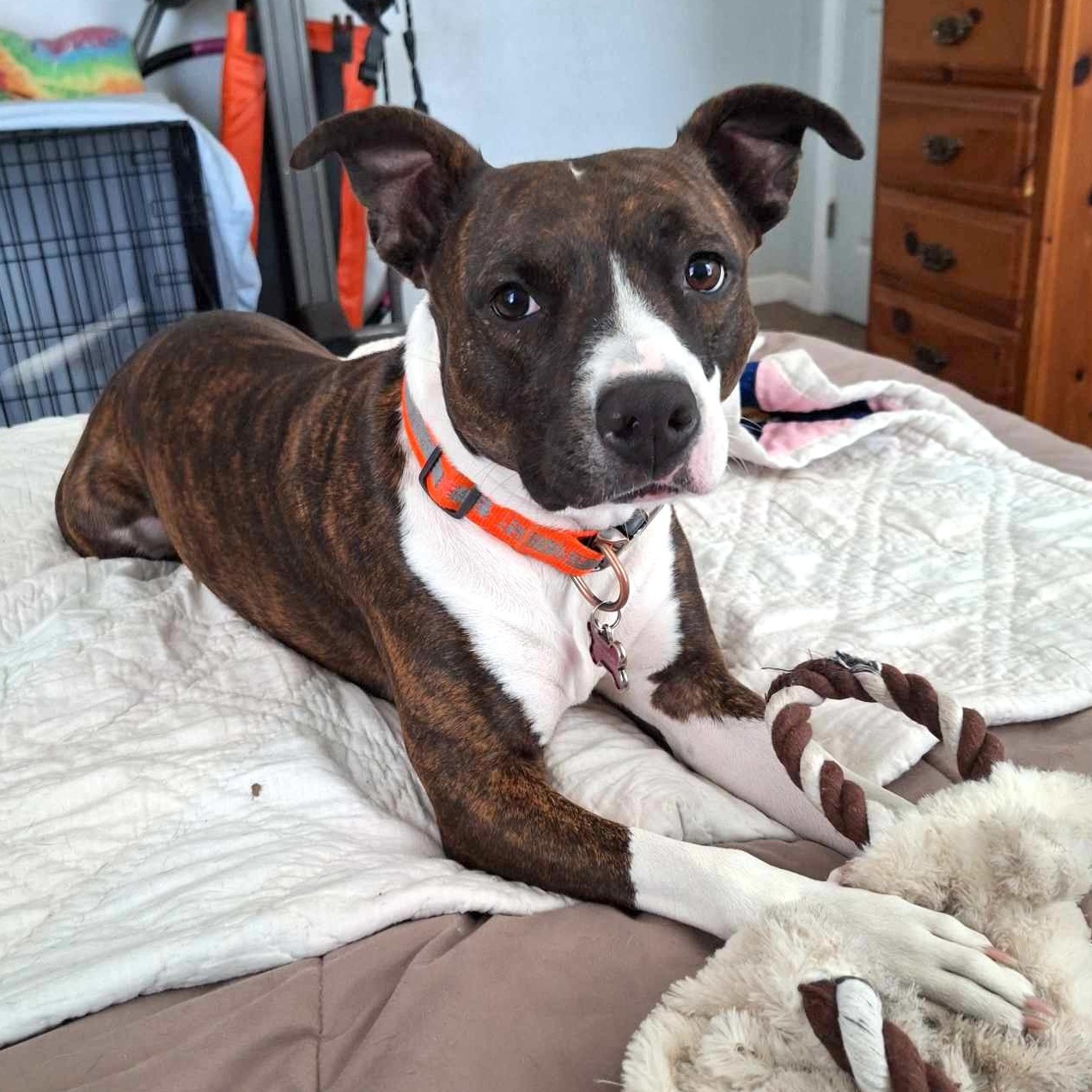 Florentina thumbnail 5