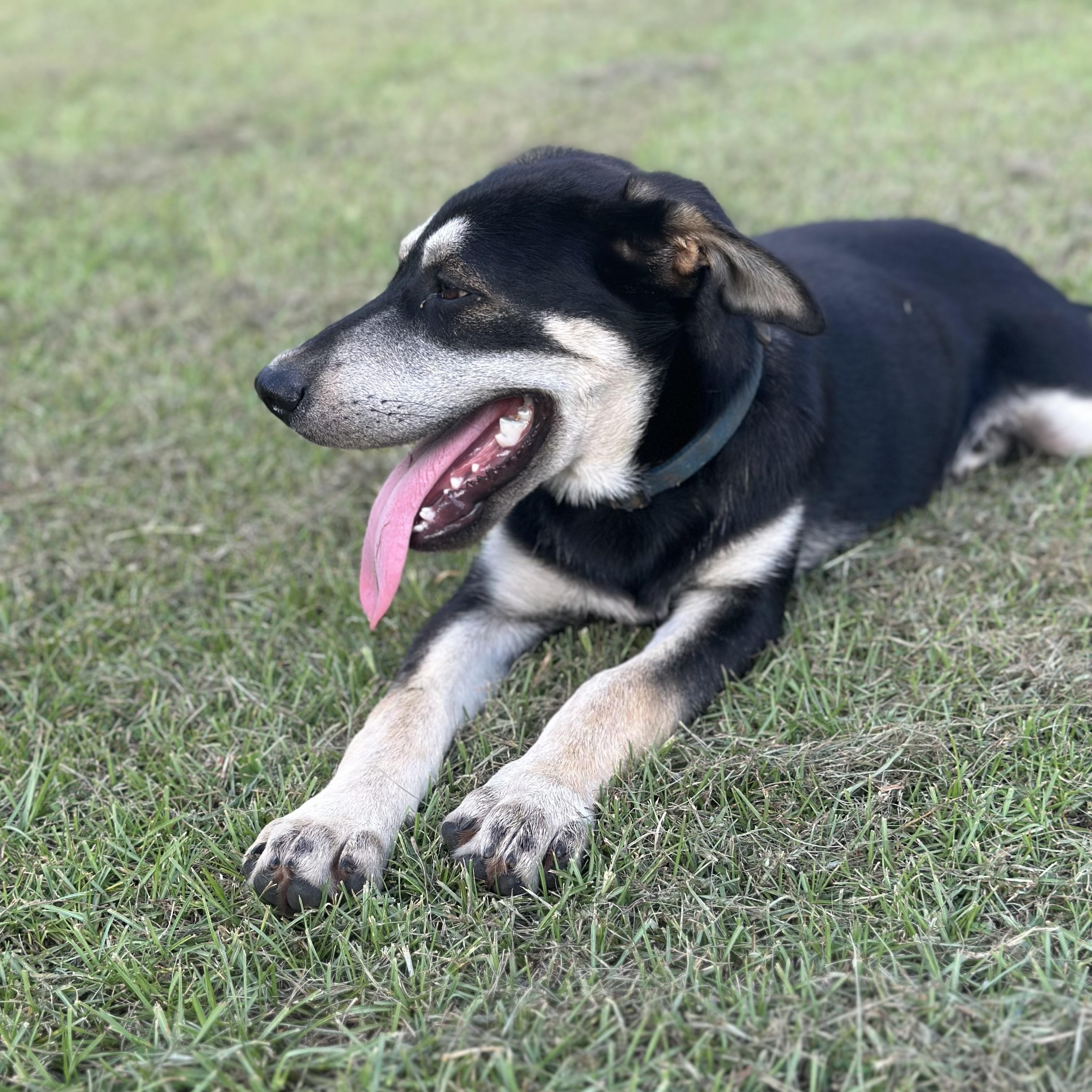 Duke