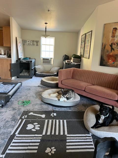 Enlarge Freddy, a Adoptable Pit Bull Terrier in Valley Village, CA image 4/6