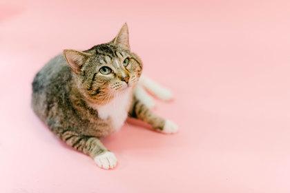 Mounds — thumbnail 2