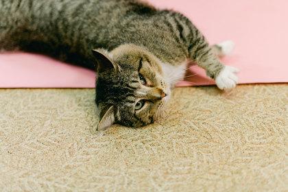 Mounds — thumbnail 3