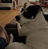 Tanya — thumbnail 4