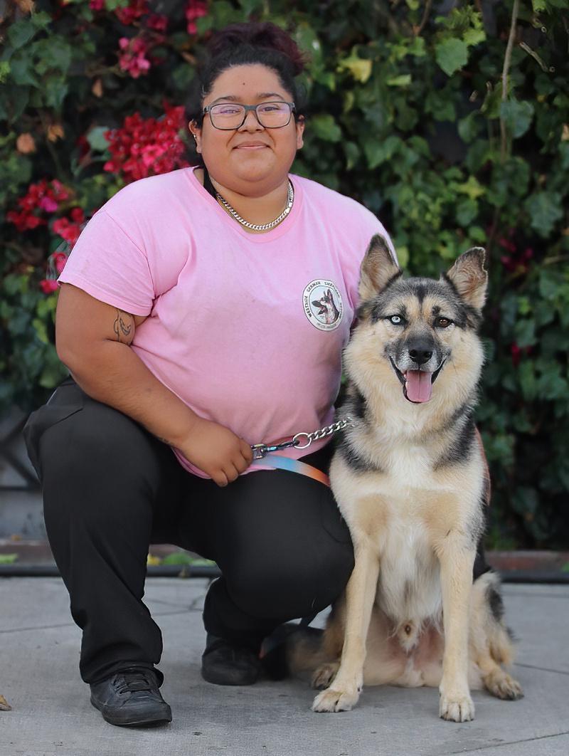 Enlarge Whiskey von Delano, a Adoptable mixed breed in Los Angeles, CA image 4/5