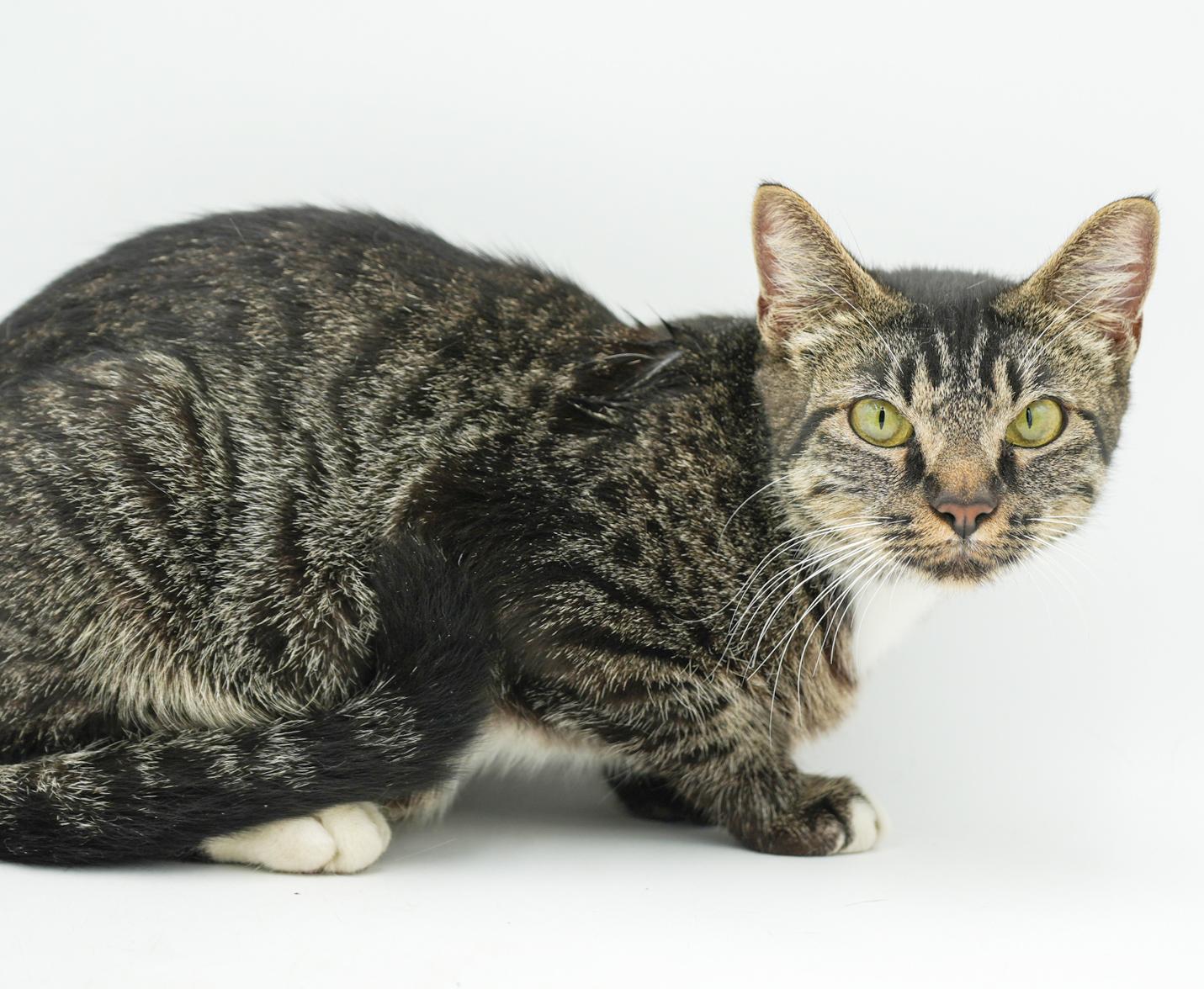 Hadley Is Heaven!  thumbnail 3