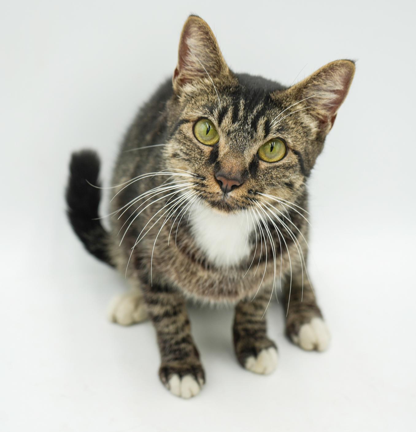 Hadley Is Heaven!  thumbnail 4