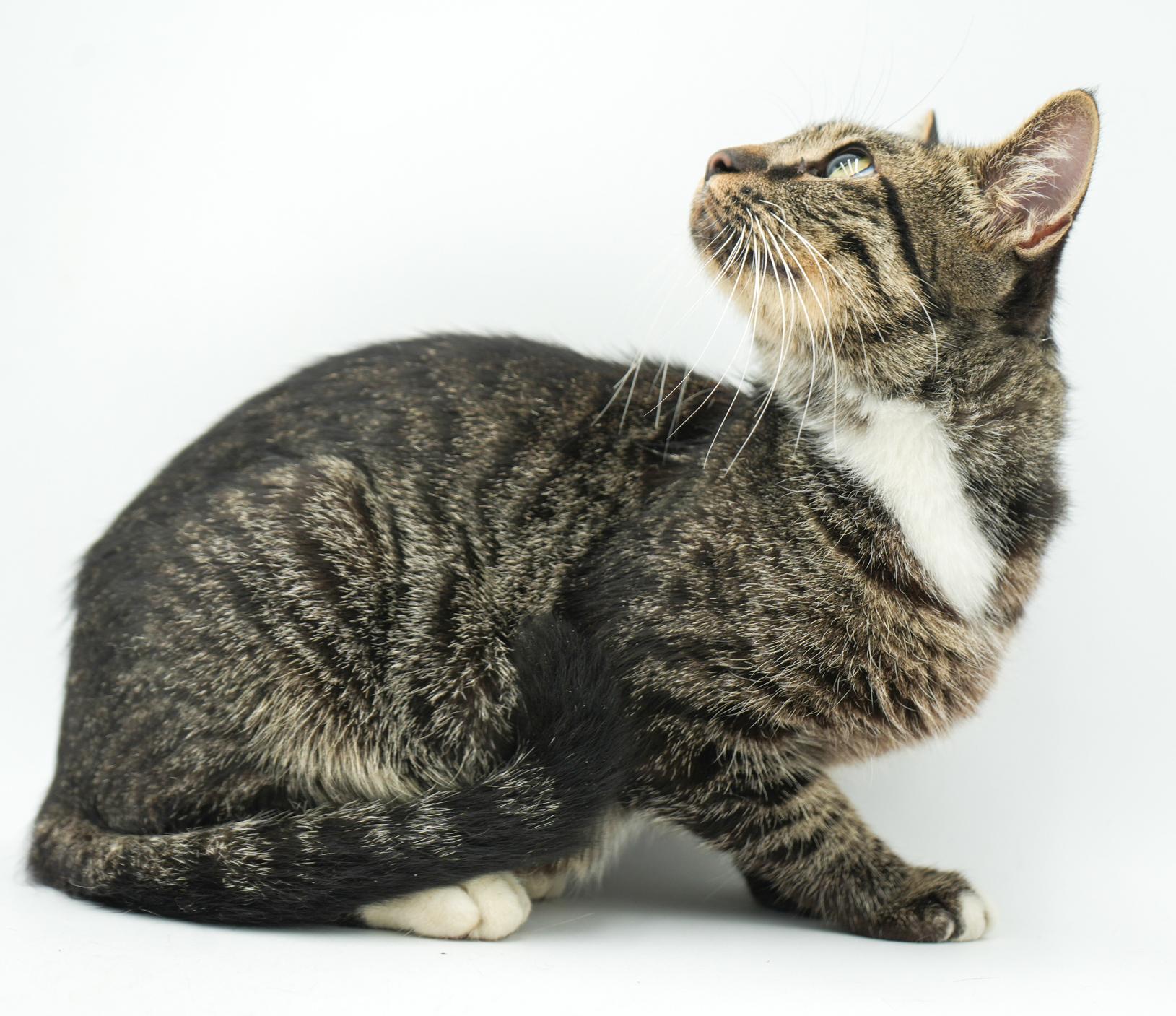 Hadley Is Heaven!  thumbnail 5