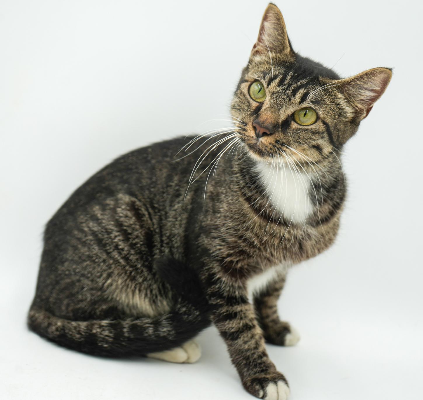 Hadley Is Heaven!  thumbnail 6