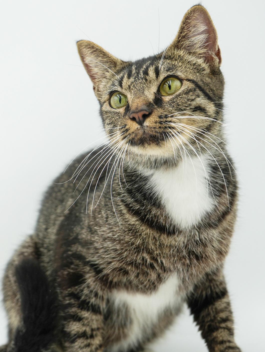 Hadley Is Heaven!  thumbnail 2