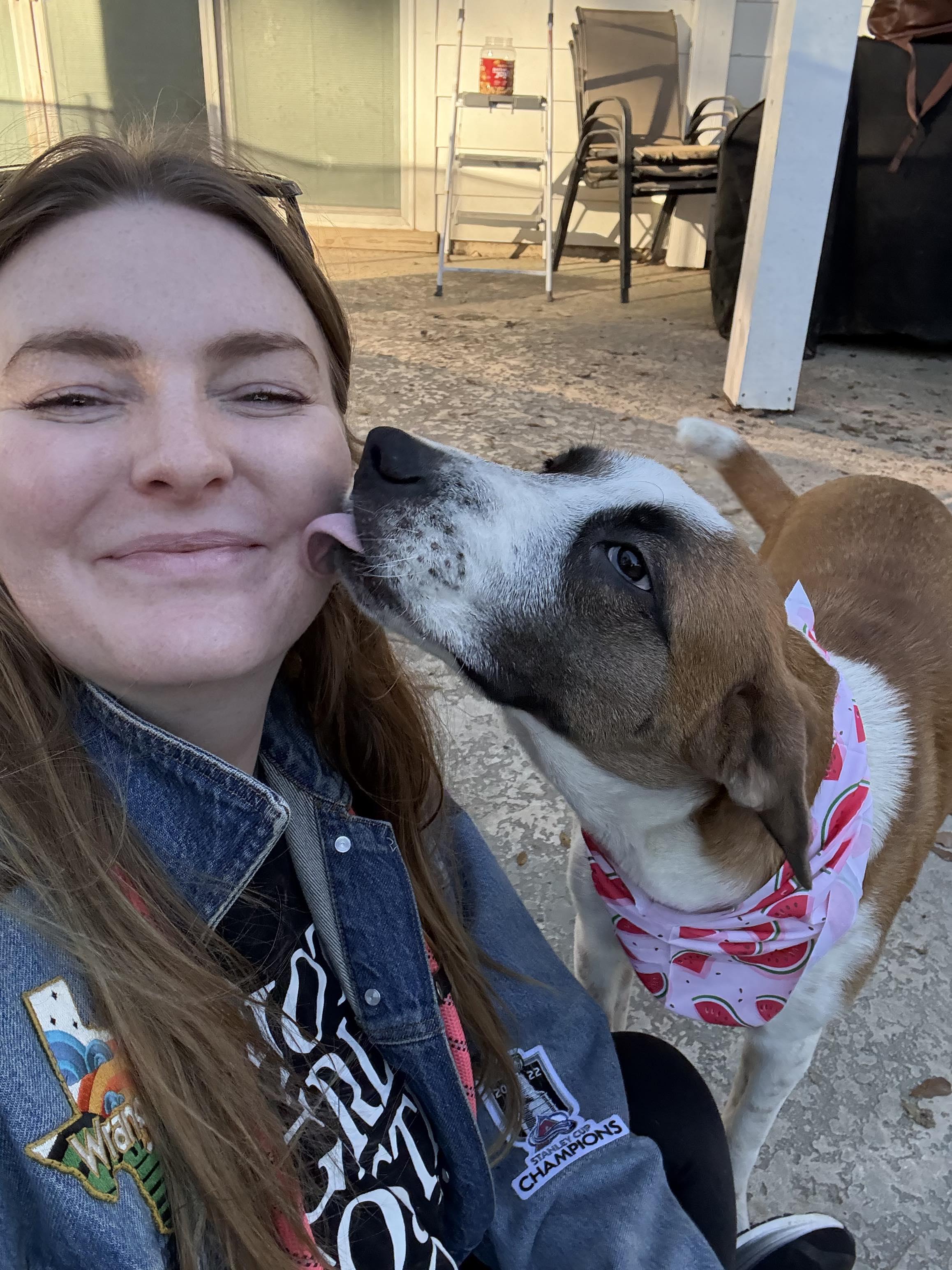 Enlarge Ella, an adopted mixed breed in Castle Rock, CO image 2/6
