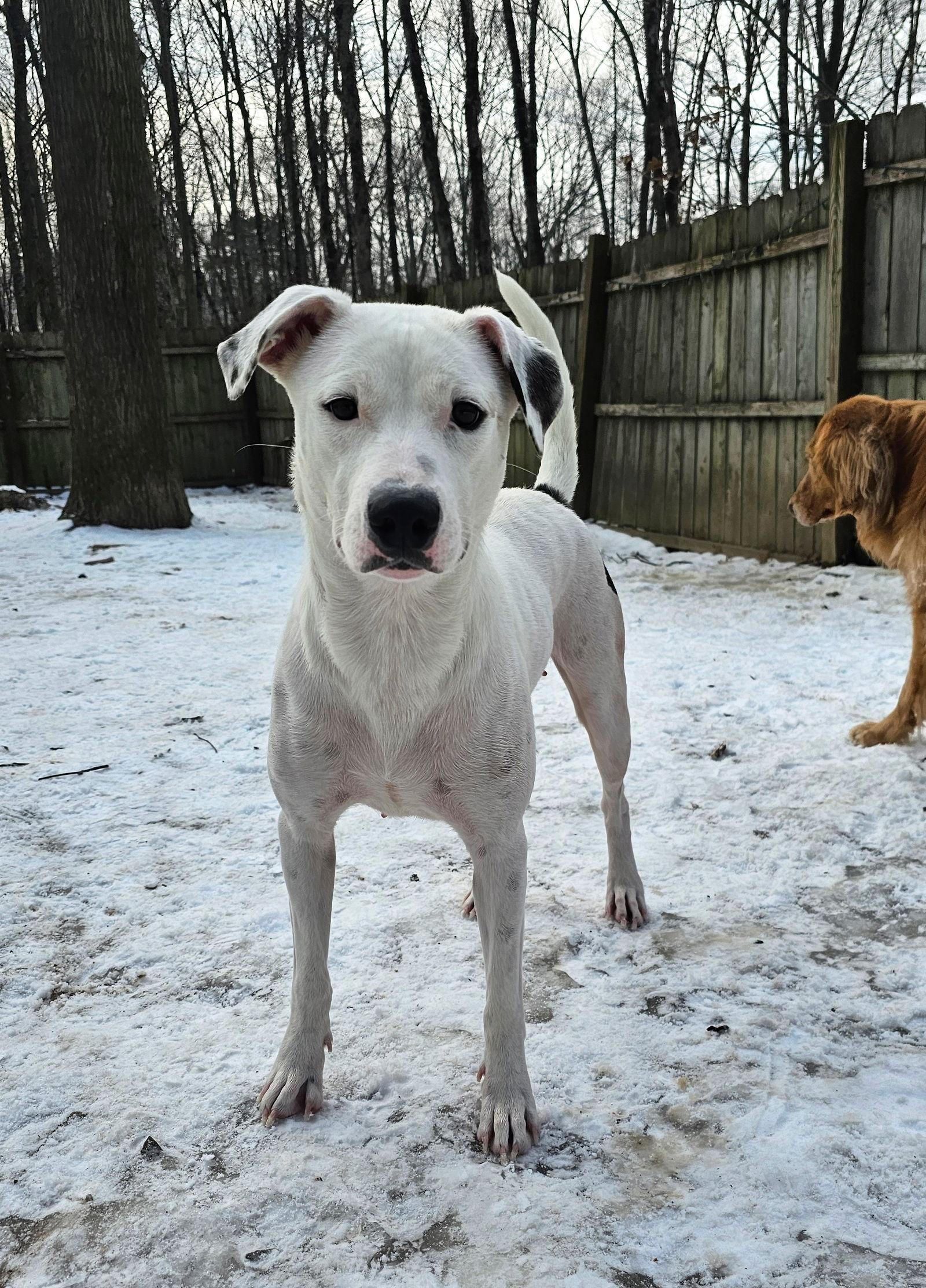 Anya Rds thumbnail 3