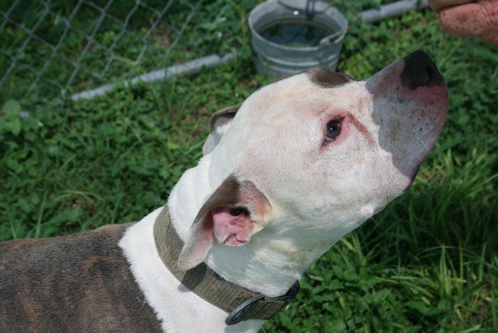 Zuez — thumbnail 4