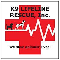 Baby Blue (Silver Lab), a Adoptable mixed breed in Lake Geneva, WI image 4/5