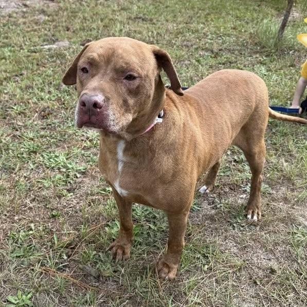 Theo — thumbnail 2