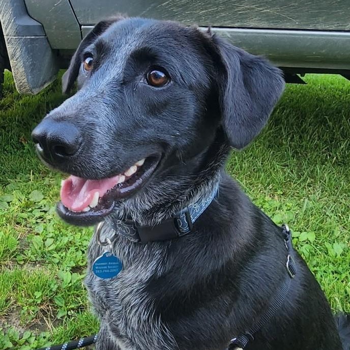 Photo of Dog of the Month!