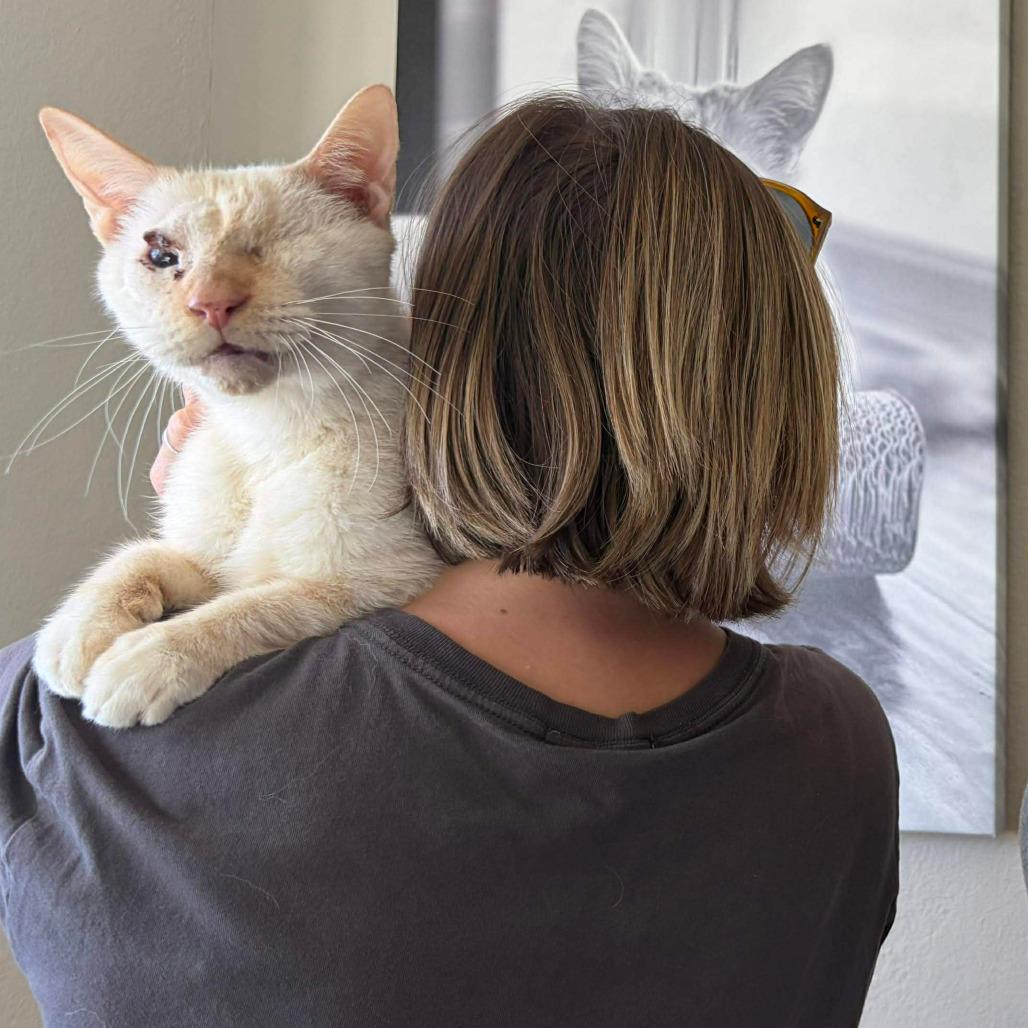 Marshmallow — thumbnail 3