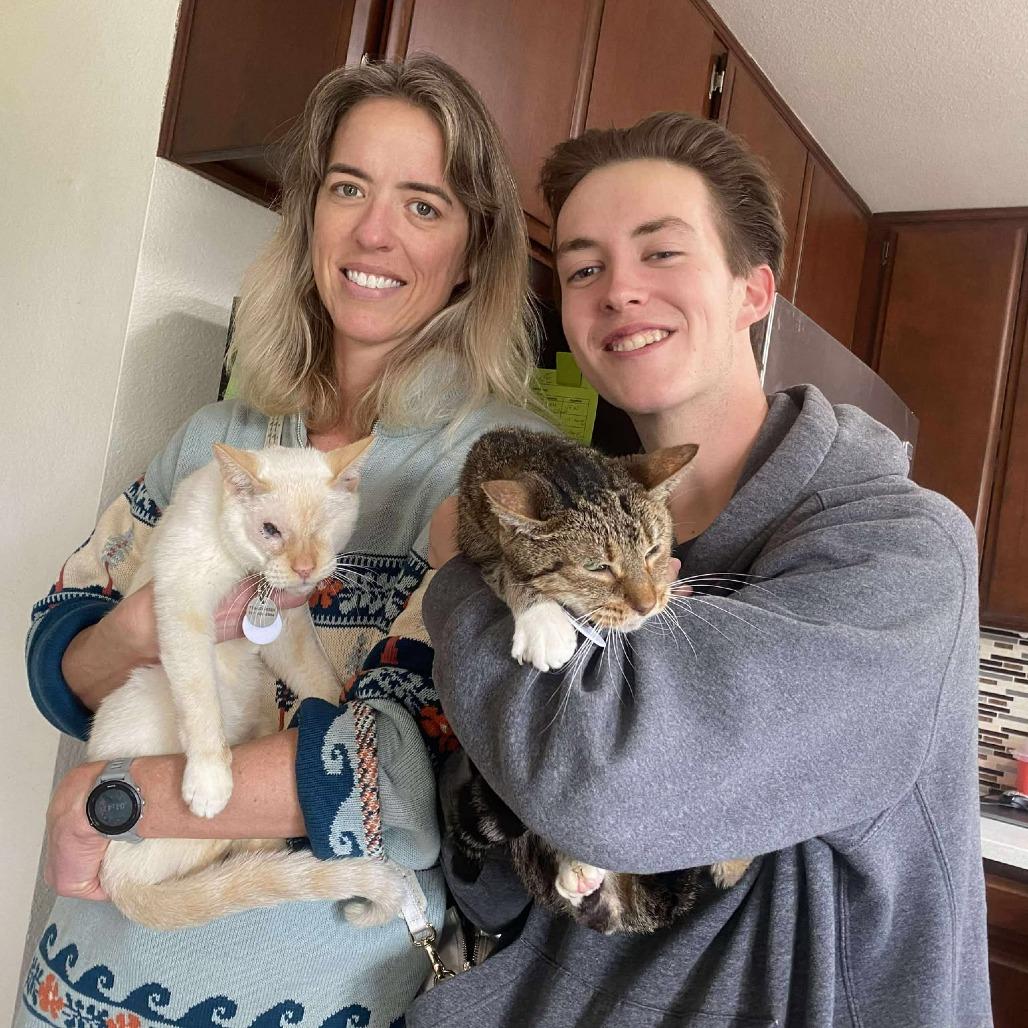 Marshmallow — thumbnail 4