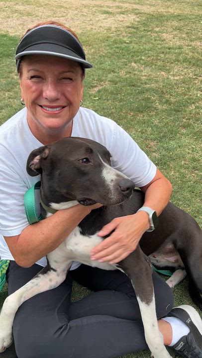 Enlarge Savannah Banana, a Adoptable mixed breed in Pilot Point, TX video 6/6