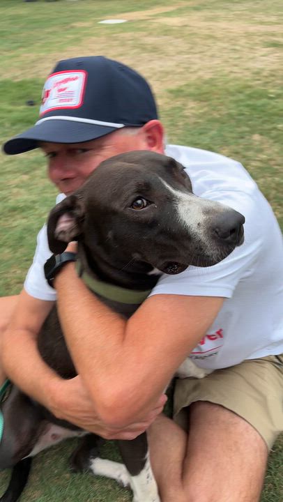 Enlarge Savannah Banana, a Adoptable mixed breed in Pilot Point, TX video 5/6