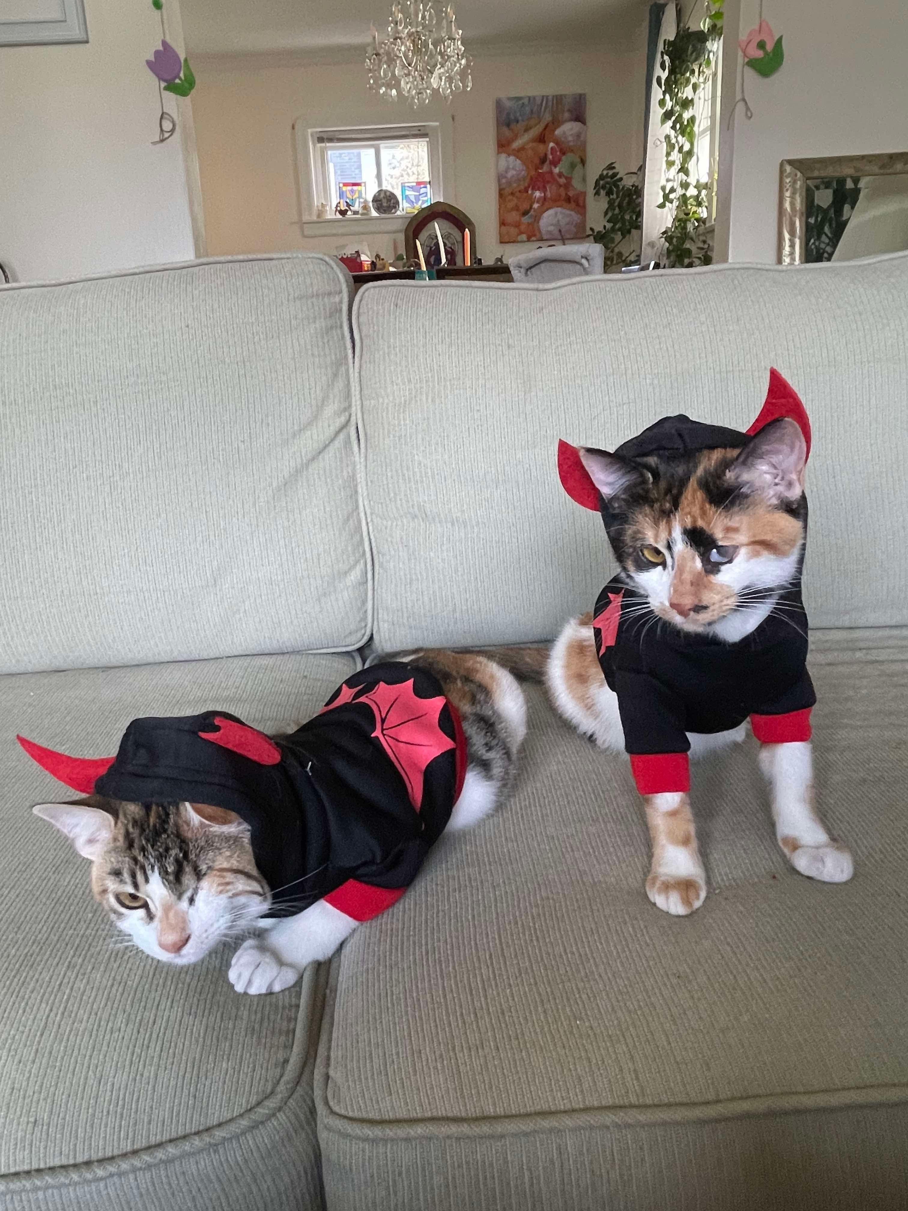 Mia & Meli (We are Bonded)