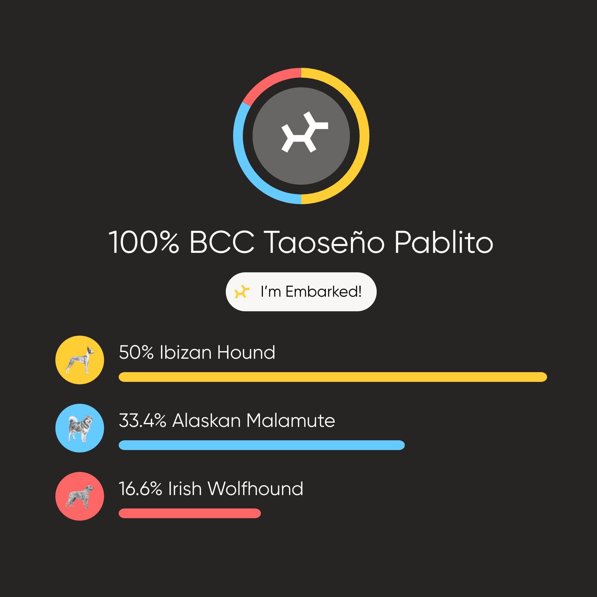 Enlarge Pablo, a Adoptable mixed breed in Clyde, NC image 6/6