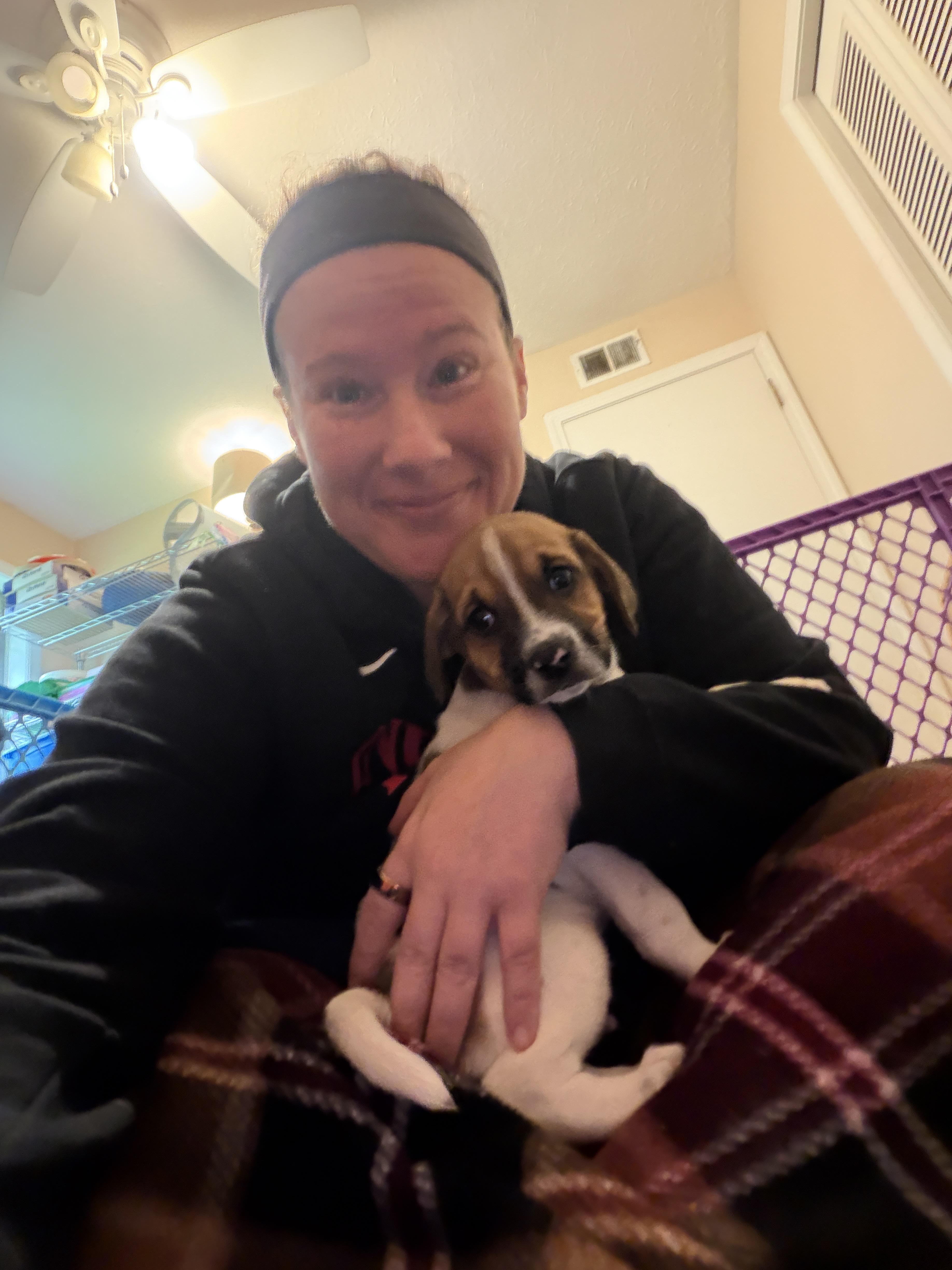 Enlarge Lander, a Adopted mixed breed in Jeffersonville, IN image 3/6