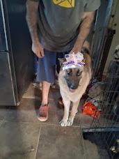 Enlarge Marla, a Adopted mixed breed in San Juan Bautista, CA image 2/3