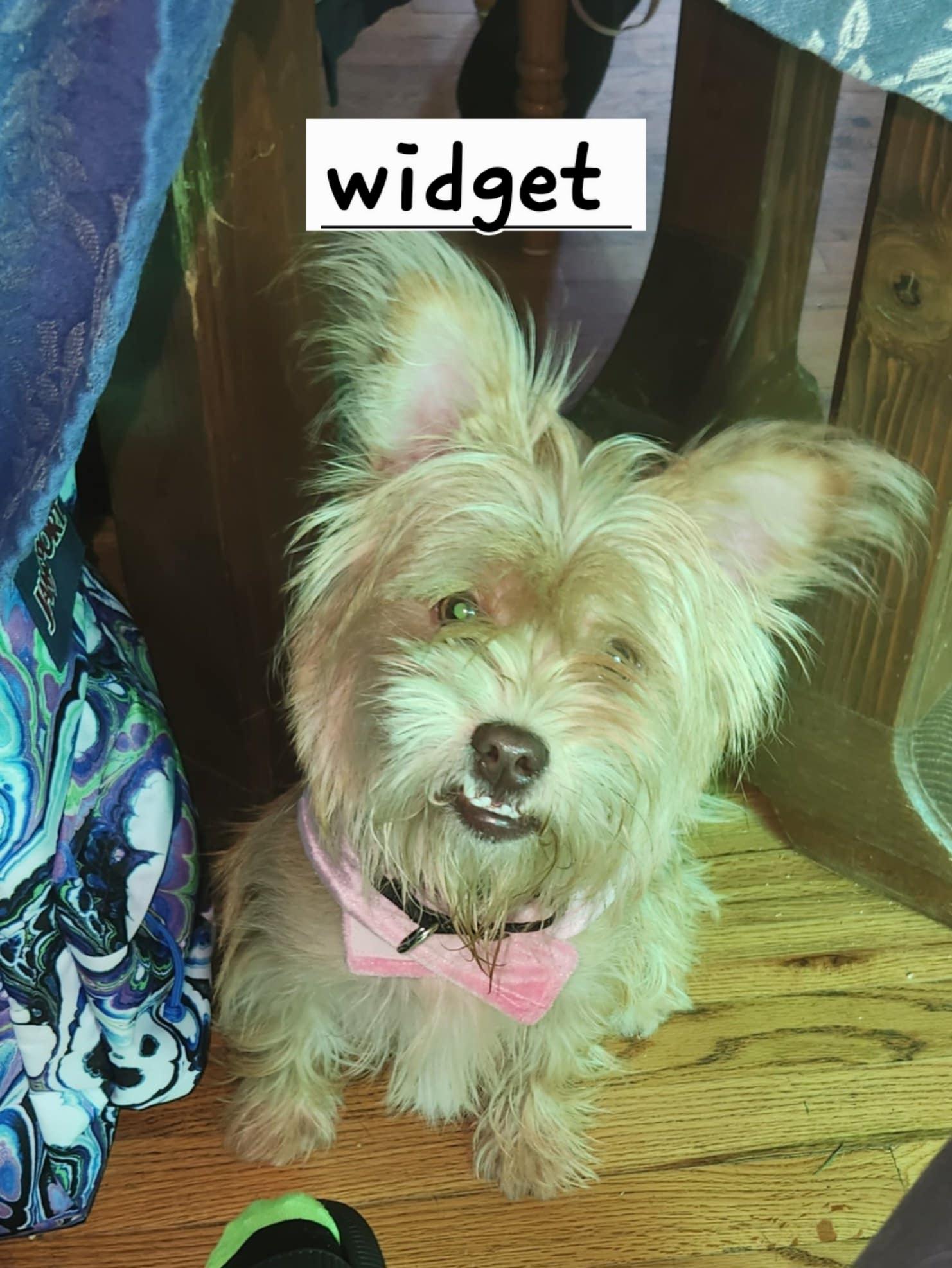 Widget photo 1