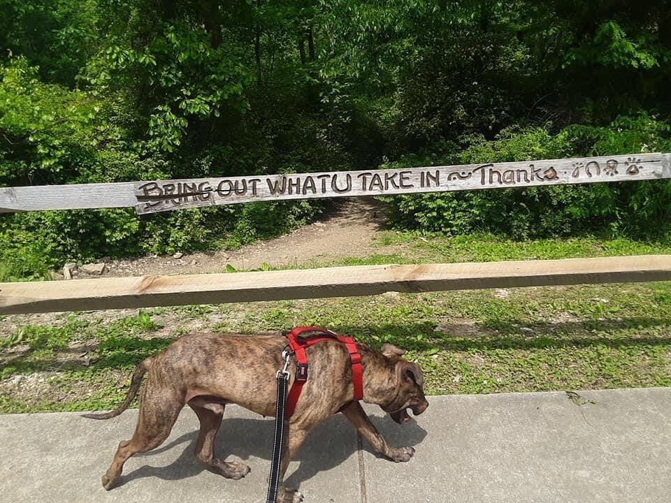 Herman photo 3