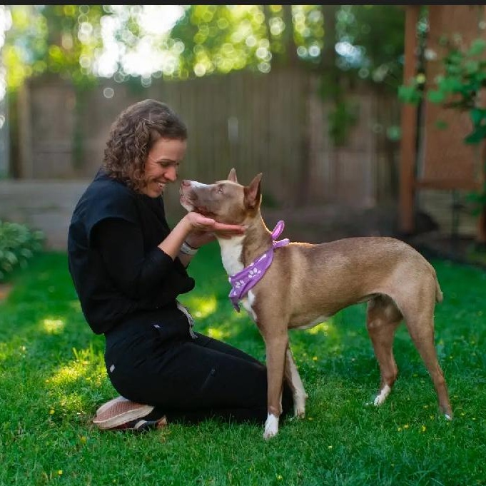 Enlarge Violet, a ADOPTABLE mixed breed in Buffalo, NY image 4/6