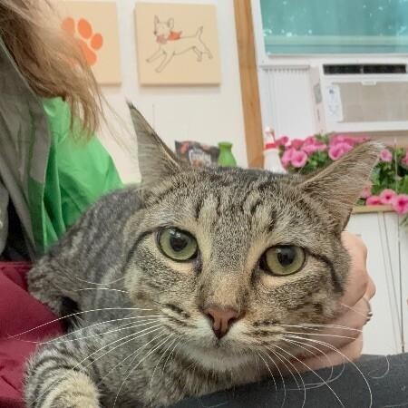 Jill Simpson — thumbnail 4