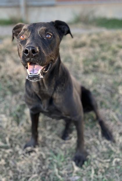 Shane — thumbnail 3