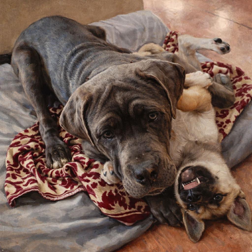 Enlarge Honey, an adopted mixed breed in Mount Holly, NJ image 6/6