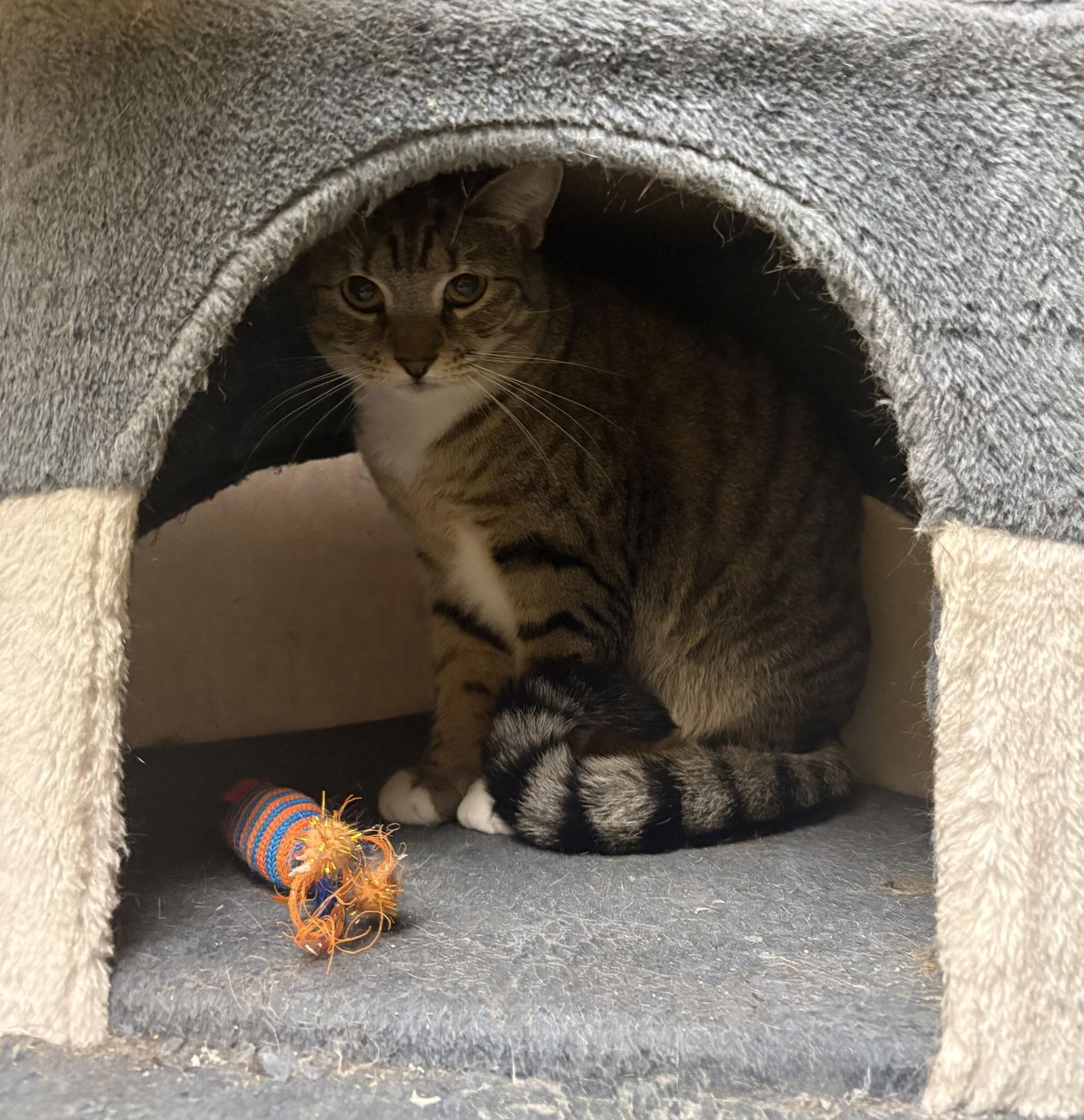 Highway — thumbnail 2