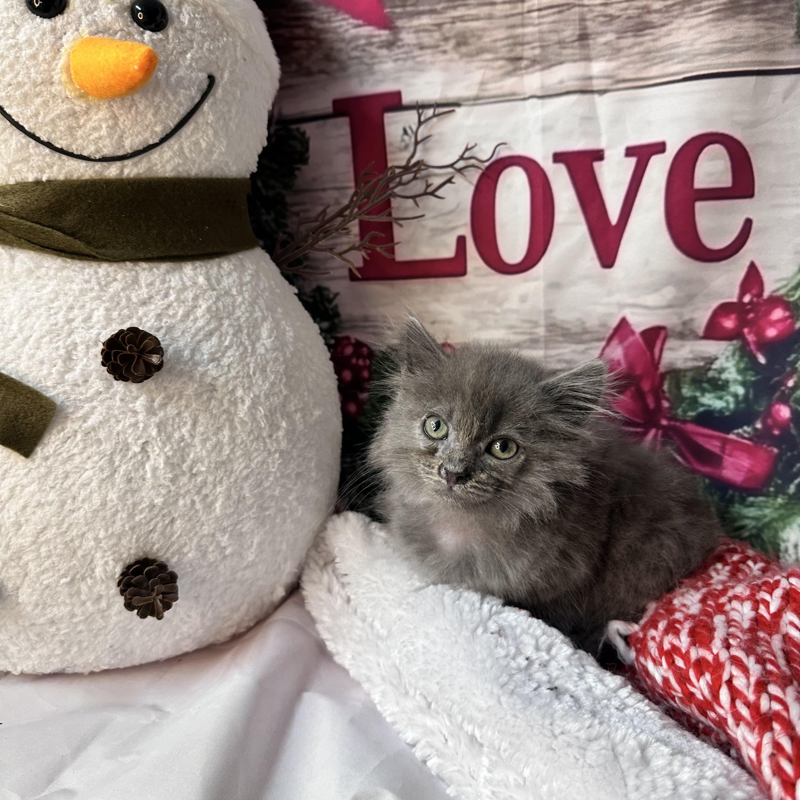 Snowflake thumbnail 2