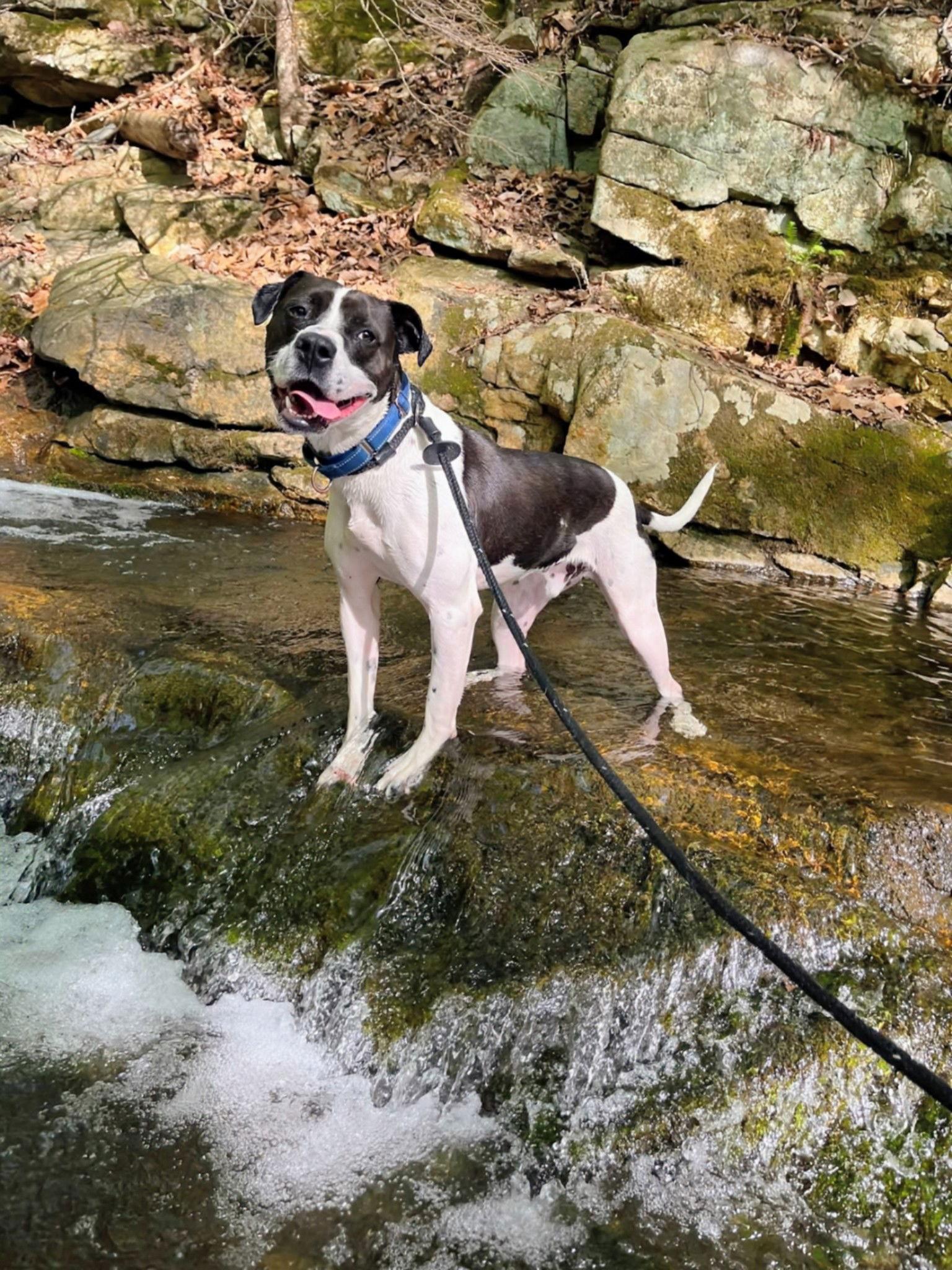 Cooper Lizman thumbnail 2