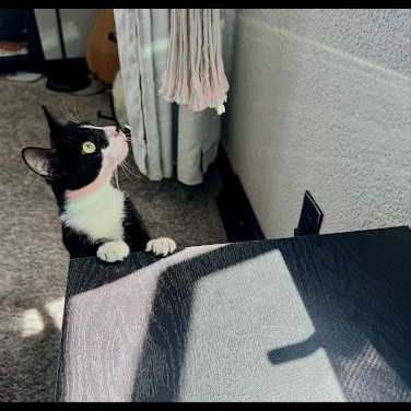 Loretta Lynn — thumbnail 2