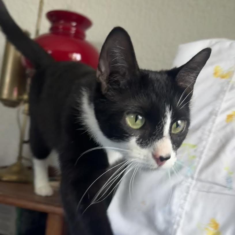 Loretta Lynn — thumbnail 4