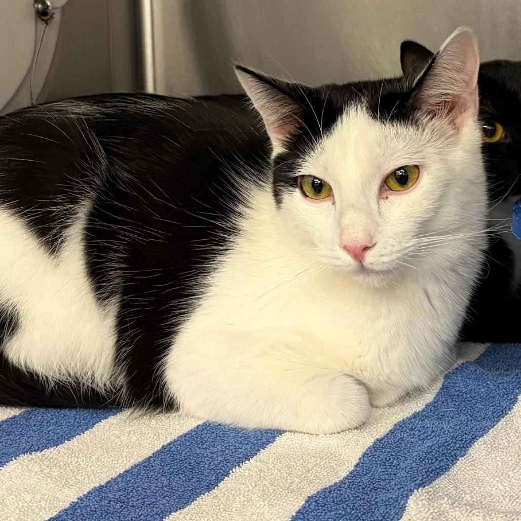 Brooklyn — thumbnail 6