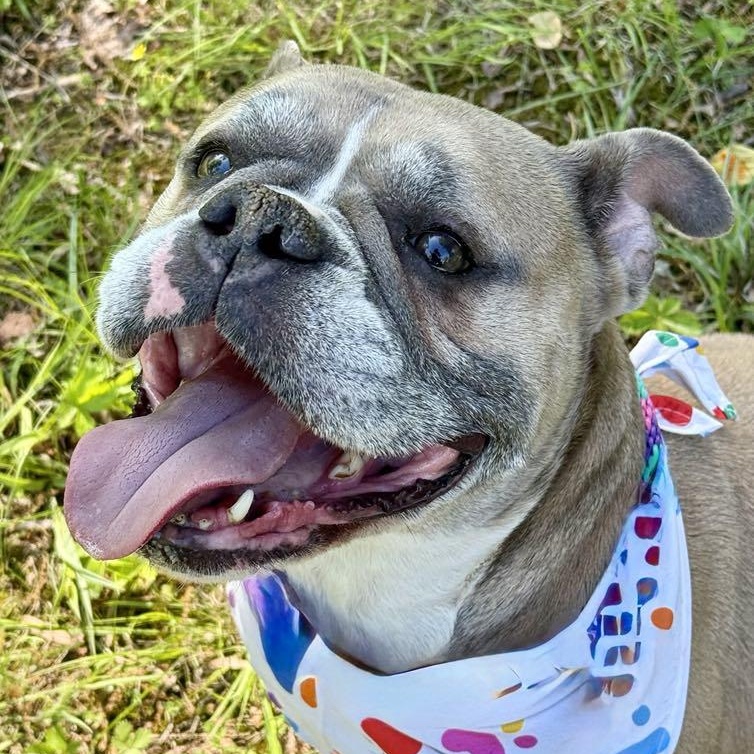 Remy photo 3