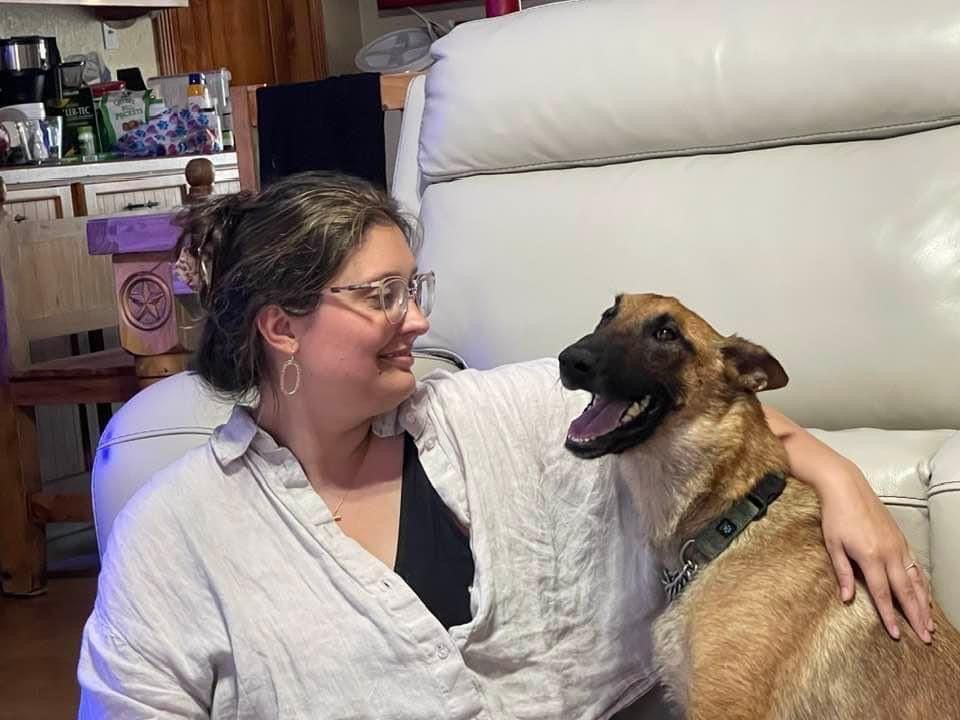 Enlarge Maia, a Adopted Belgian Shepherd / Malinois in Lytle, TX image 2/6