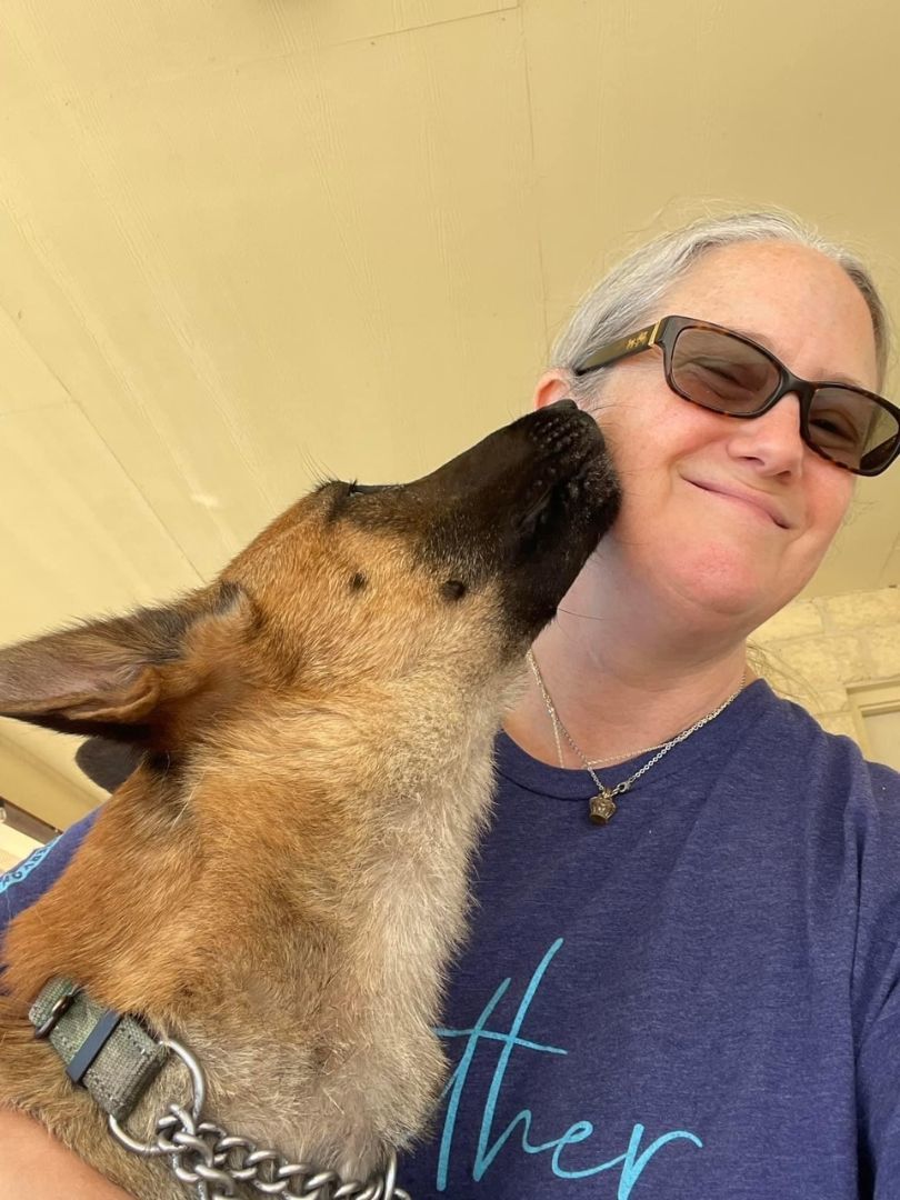 Enlarge Maia, a Adopted Belgian Shepherd / Malinois in Lytle, TX image 3/6