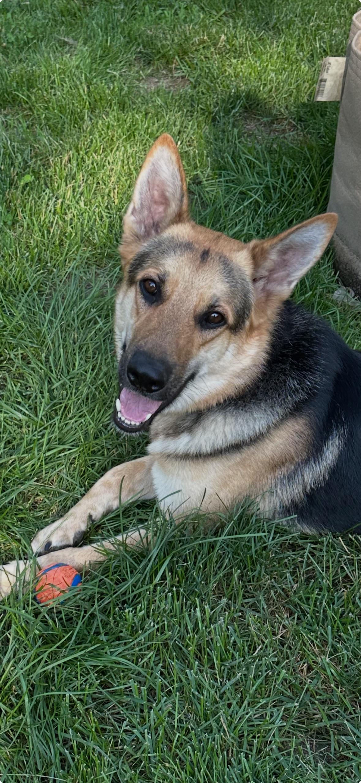 Matteo
