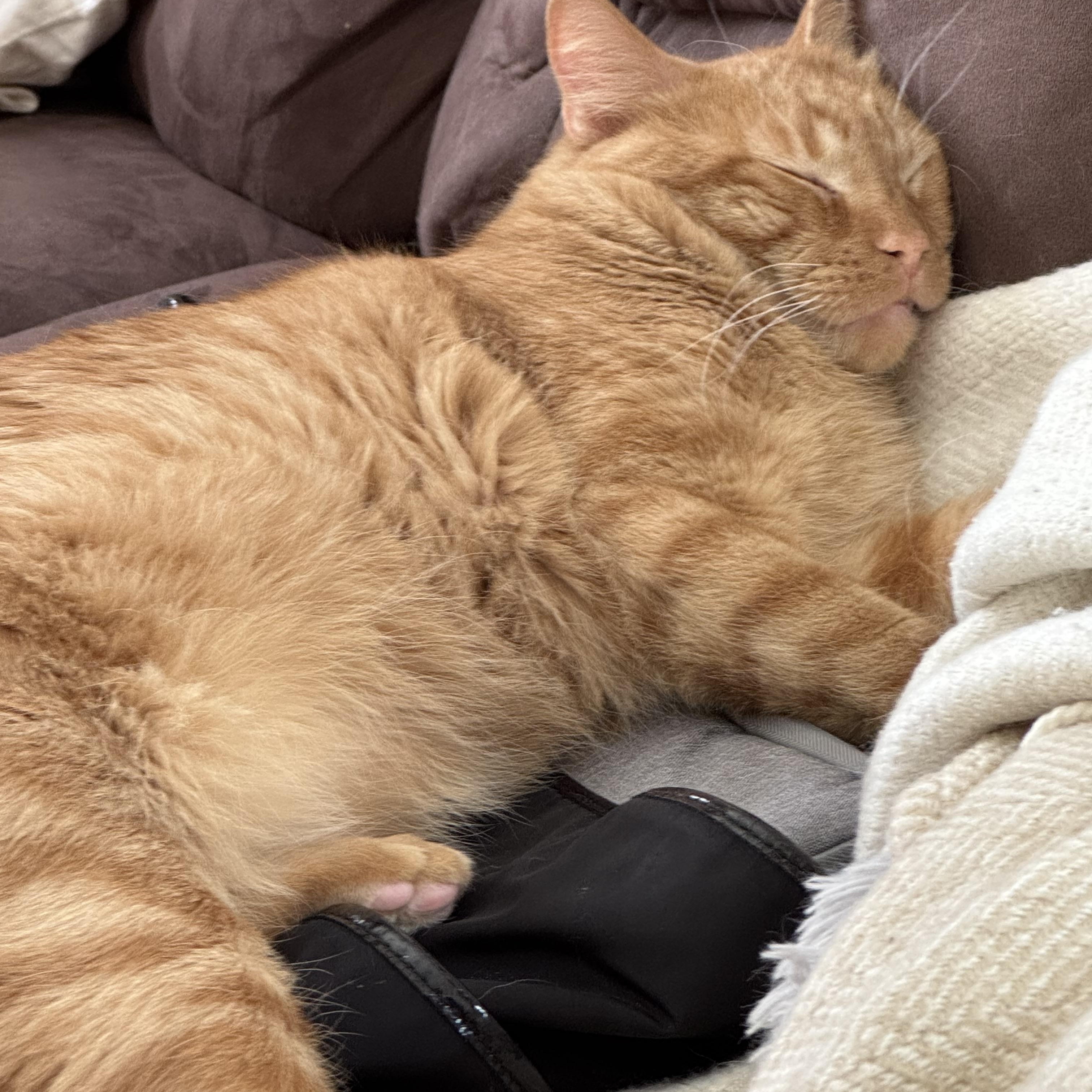 Apollo (and Zeus)