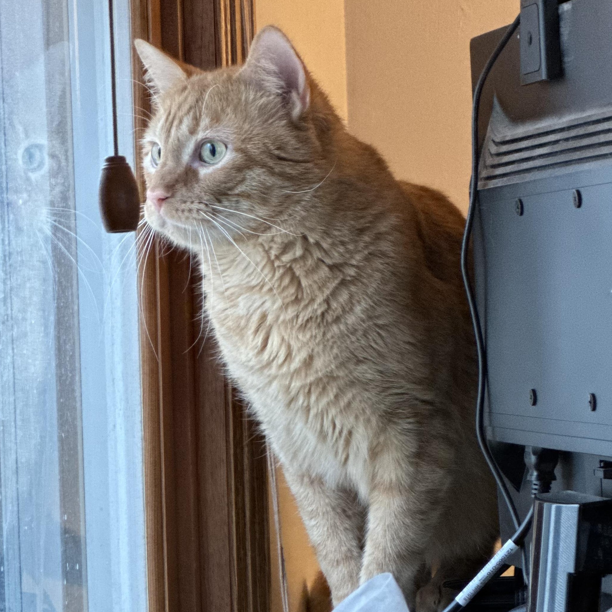 Apollo (and Zeus)