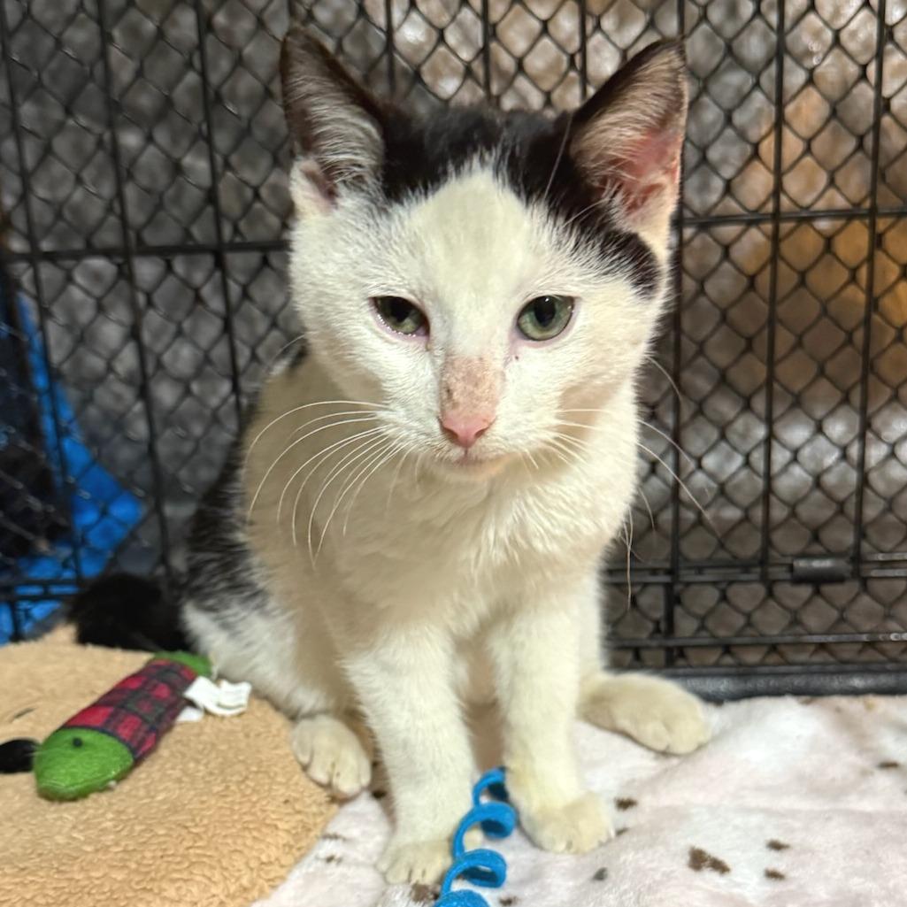 Scott — thumbnail 2