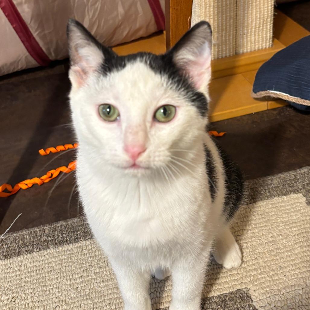 Scott — thumbnail 3