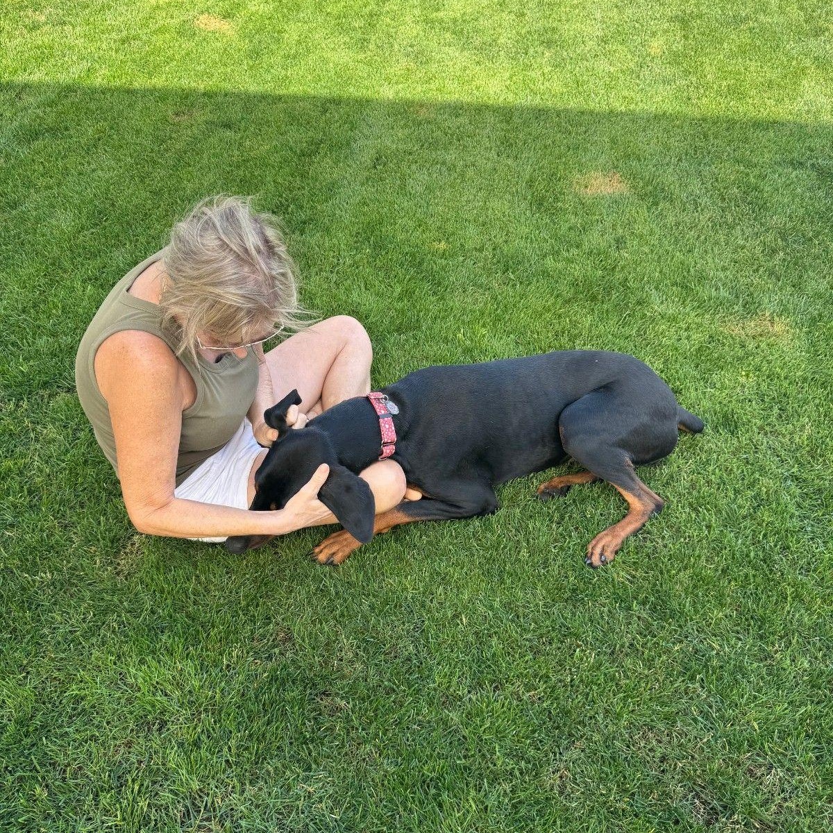 Enlarge Luna Miel, an adopted Doberman Pinscher in Phoenix, AZ image 3/3