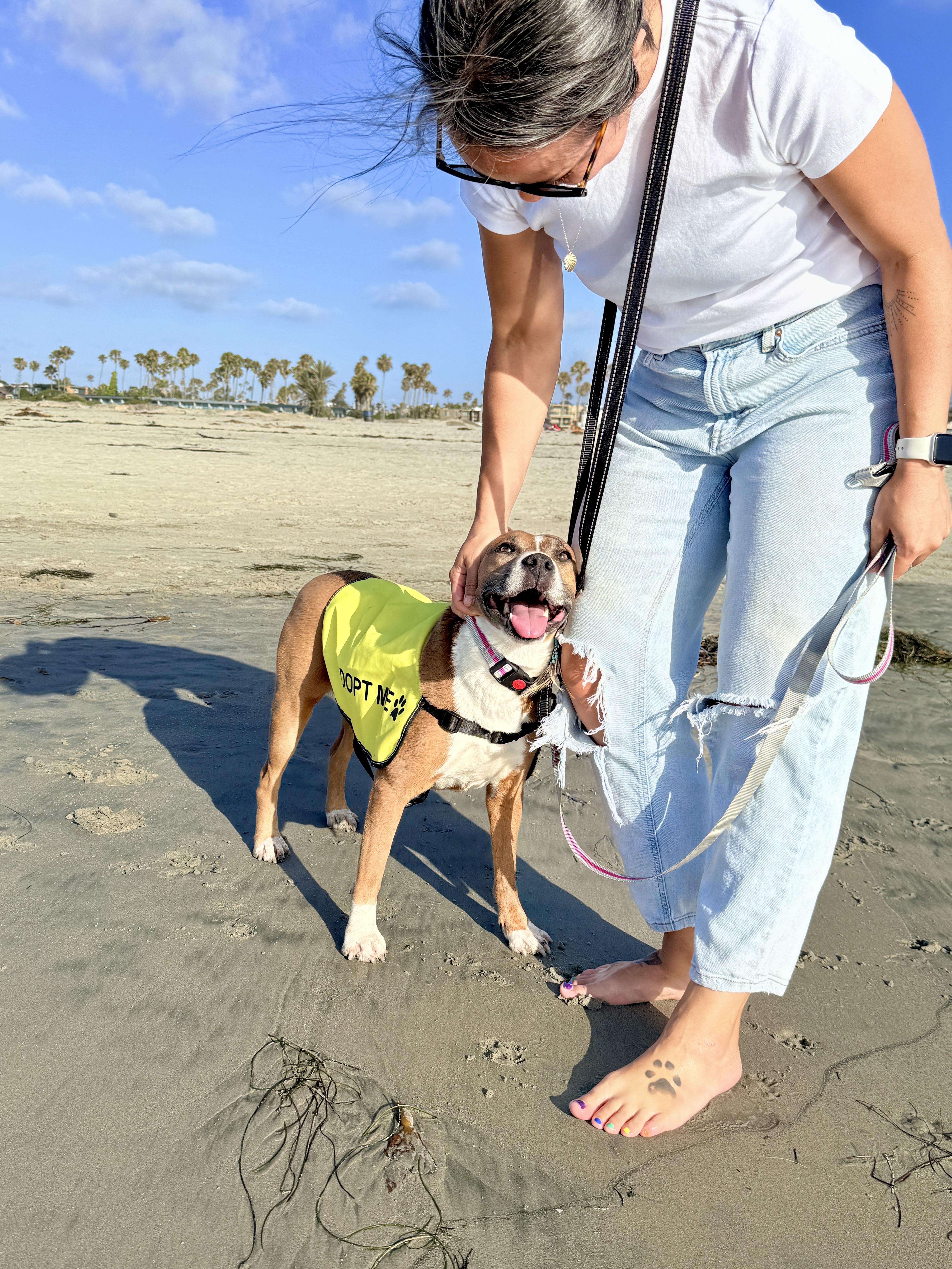 Ducky, a ADOPTABLE mixed breed in Murrieta, CA image 5/6