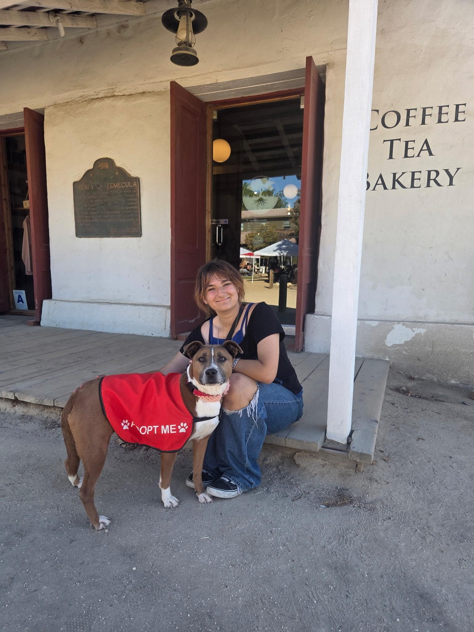 Ducky, a ADOPTABLE mixed breed in Murrieta, CA image 3/6